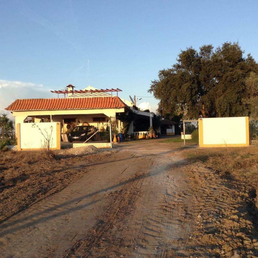 Monte Ramos Pensionat Ferreira Do Alentejo Exteriör bild